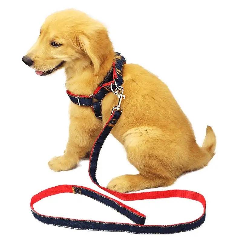Anong Mga Detalye ng Lapad at Kapal ang Pinakamahusay na Tugma sa Iba't ibang Sukat ng Alagang Hayop para sa Polyester Webbing para sa Traction ng Alagang Hayop?
